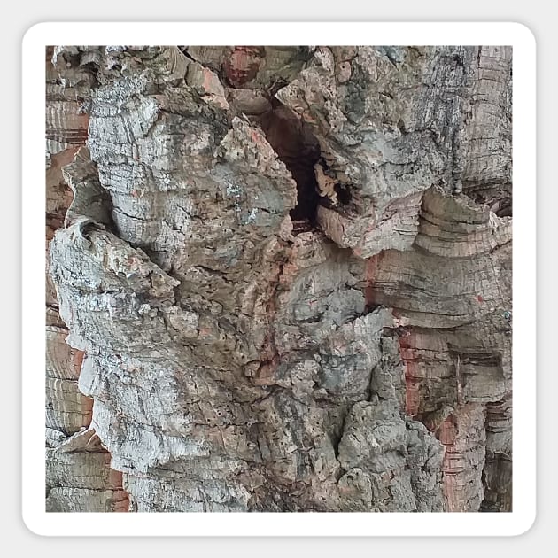 Cork Oak Tree Bark Texture 4 Sticker by oknoki